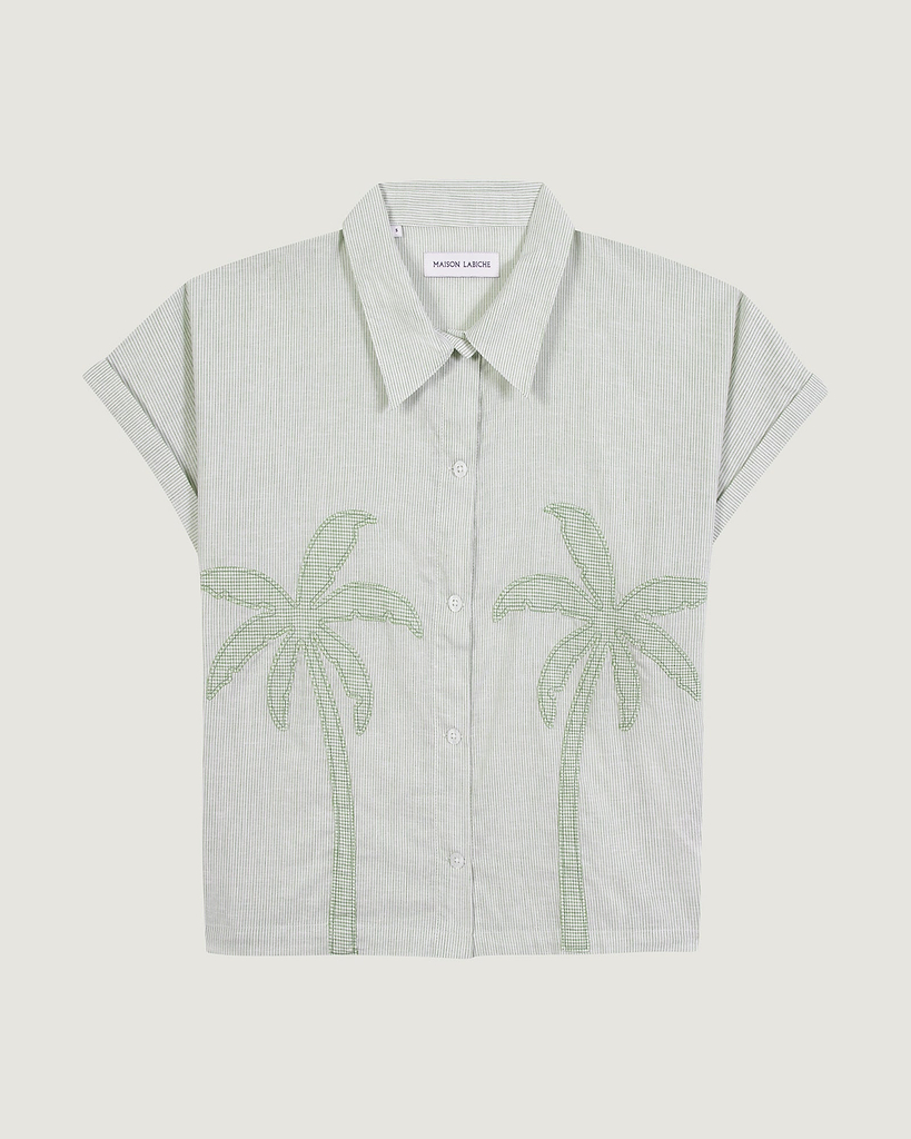 Palm Tree 