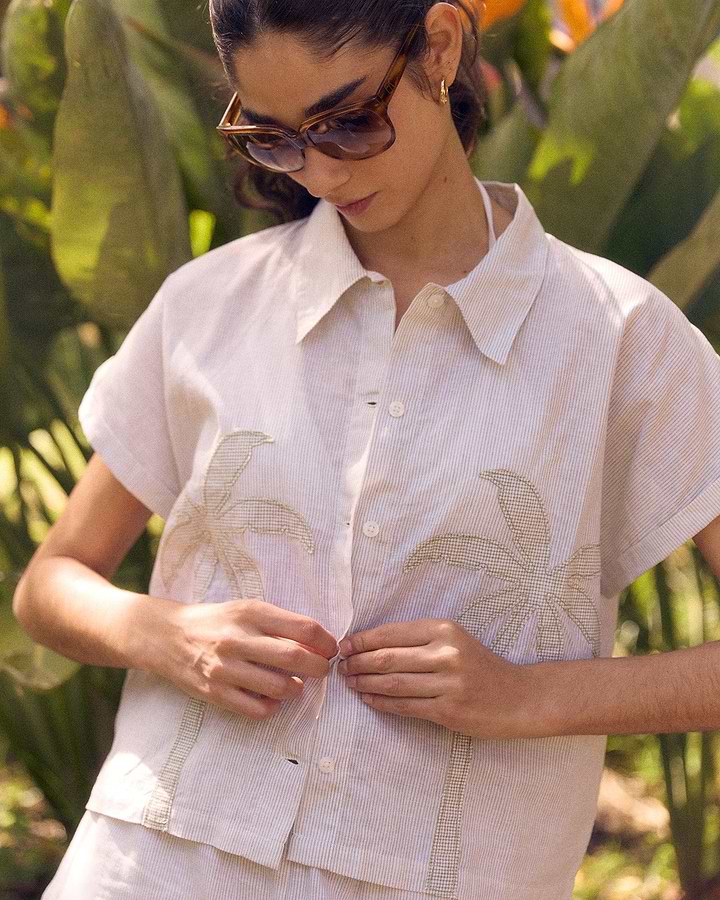 Palm Tree 