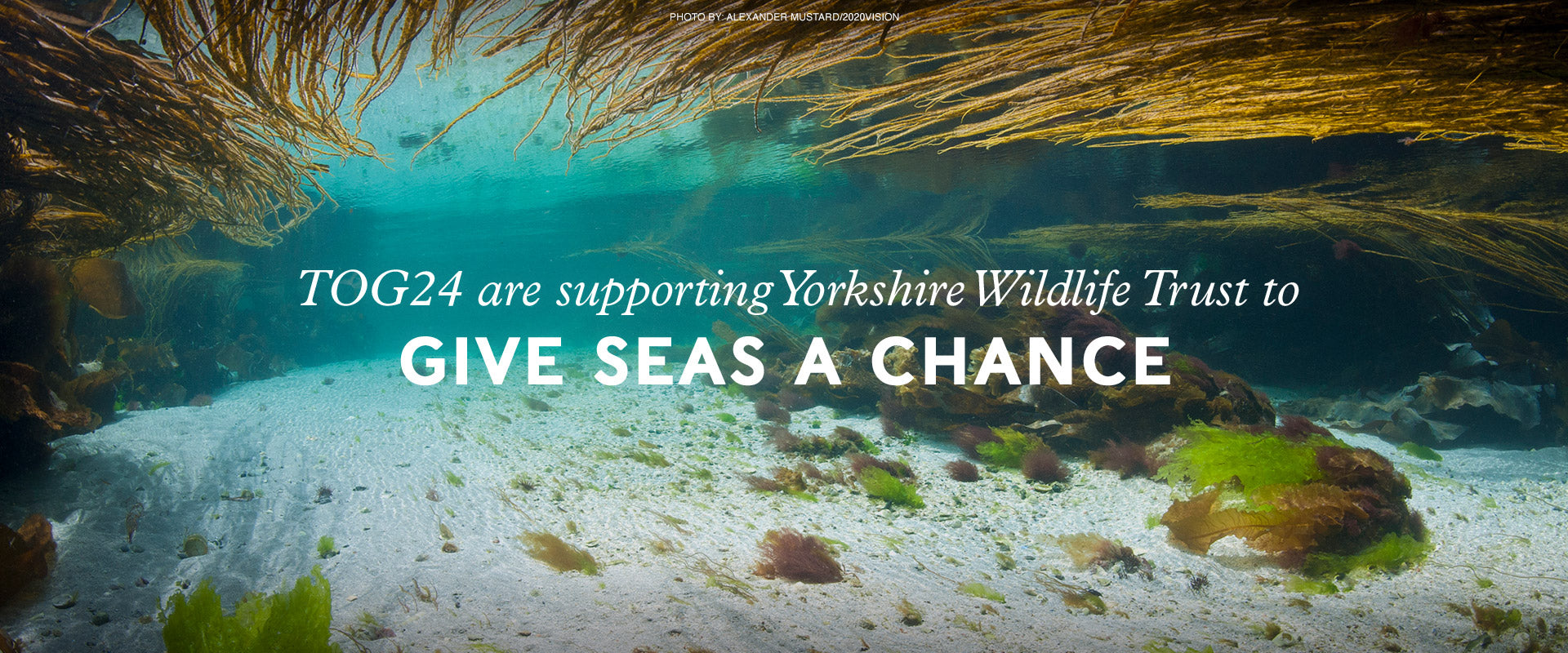Give seas a chance