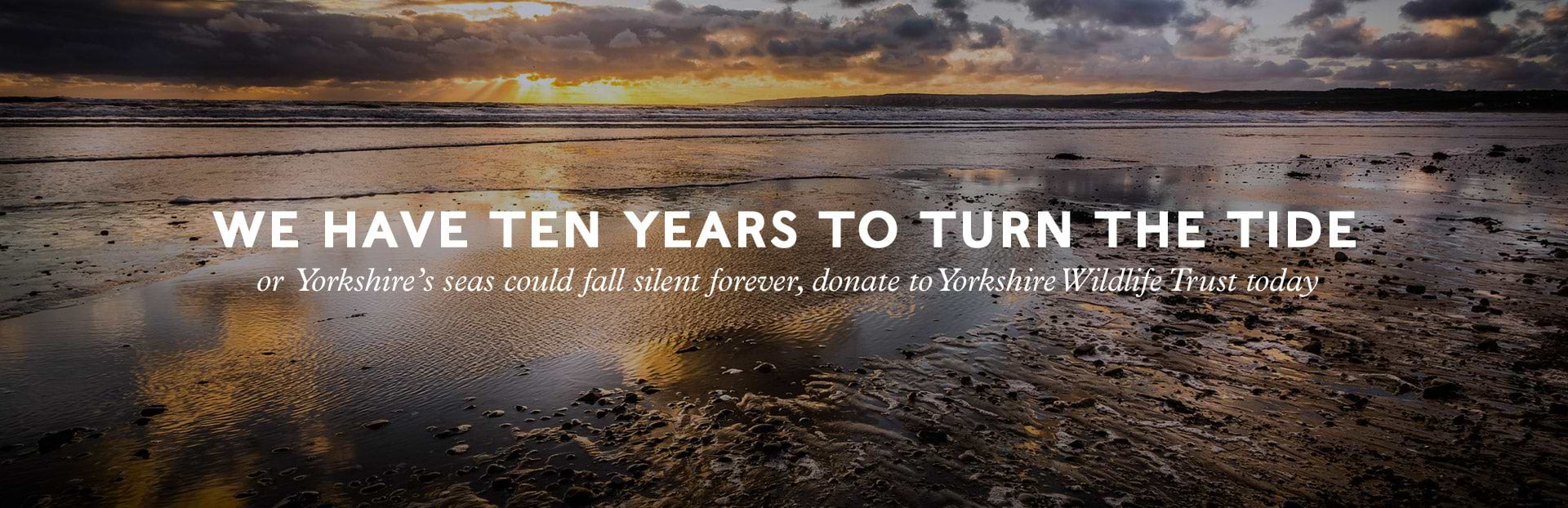 Time is running out for Yorkshire's seas