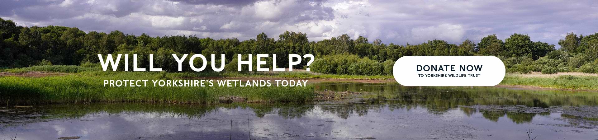 Will you help? Protect Yorkshire's wetlands today. Donate to Yorkshire Wildlife Trust