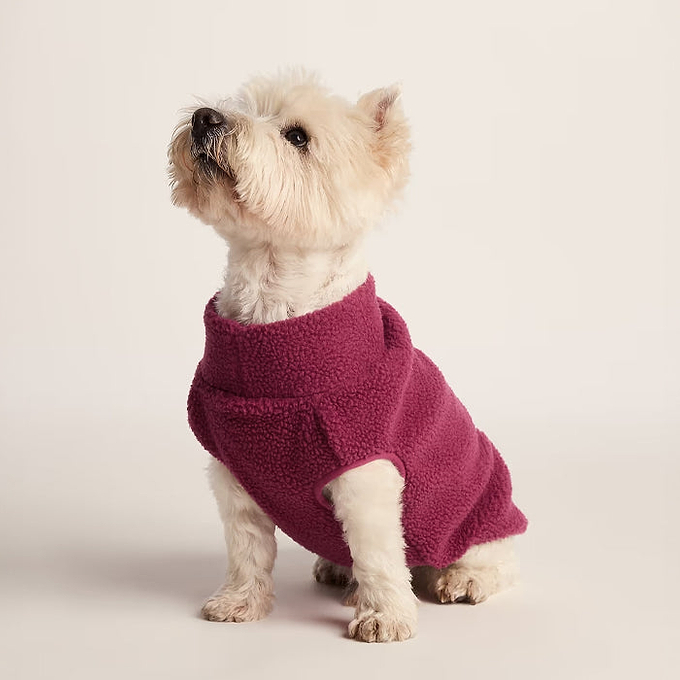 The best dog fleeces for winter walks