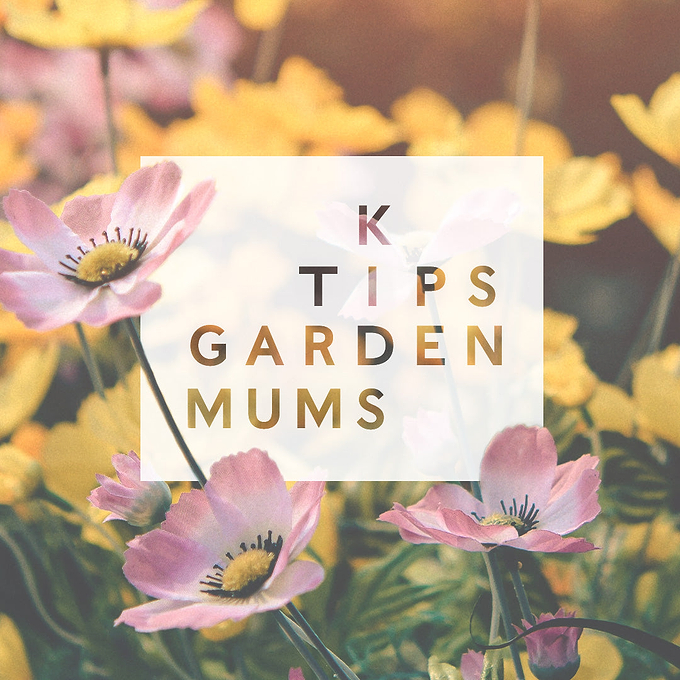 Tips – by Mums - to Get Children Involved in the Gardening