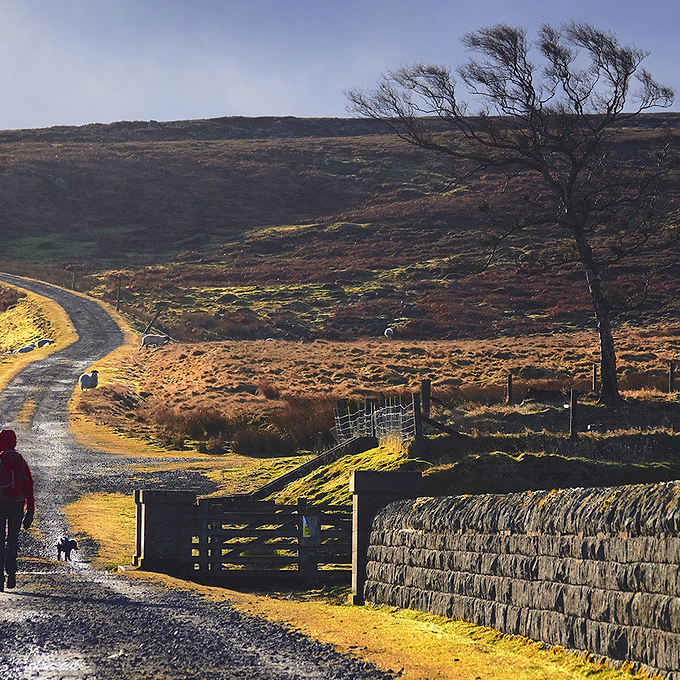 10 best UK wet weather walks