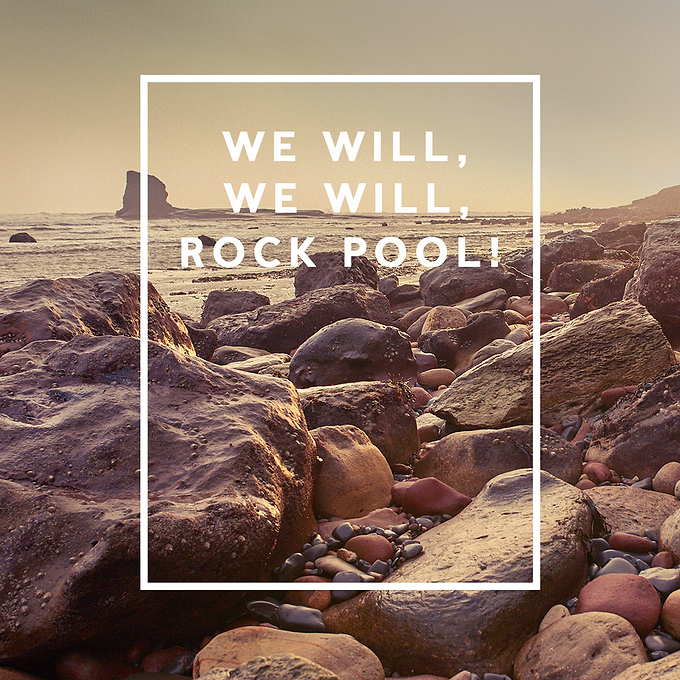We will, we will, ROCK POOL!