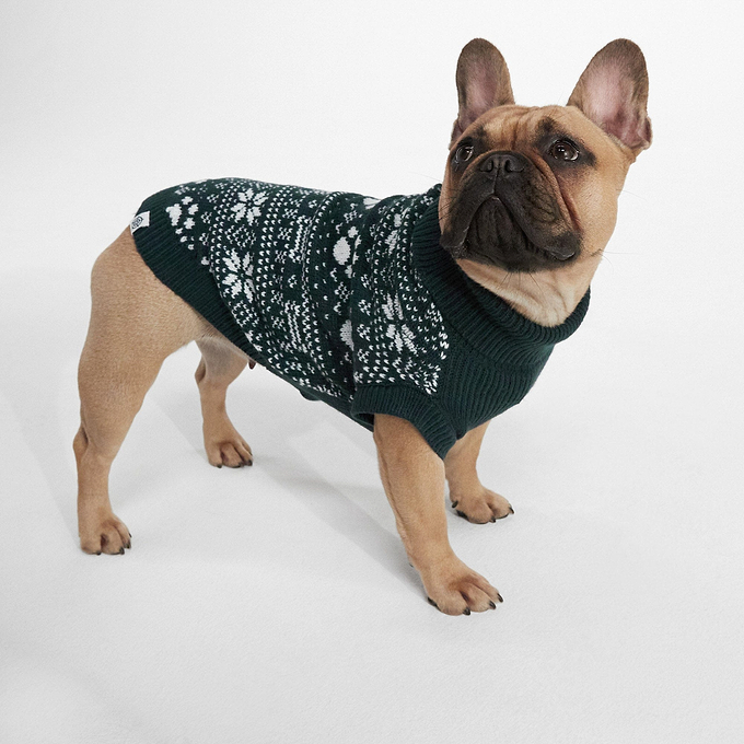 Doodle Knitted Dog Coat  - Dark Indigo Dog Fairisle XL