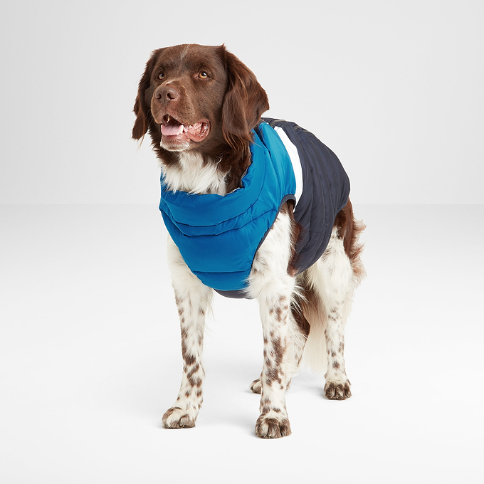 Fetch Reversible Padded Dog Coat M - Peacock Blue/Dark Indigo/Optic White