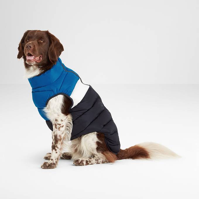 Fetch Reversible Padded Dog Coat M - Peacock Blue/Dark Indigo/Optic White