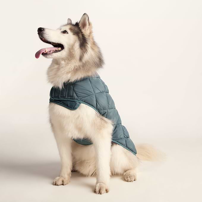 L Graphite Fido Padded Dog Coat L - Graphite – TOG24