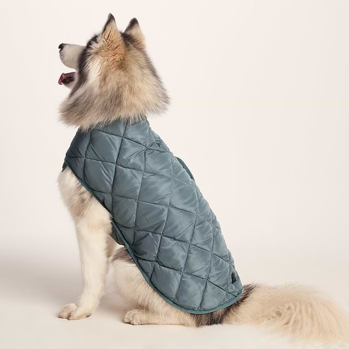 L Graphite Fido Padded Dog Coat L - Graphite – TOG24