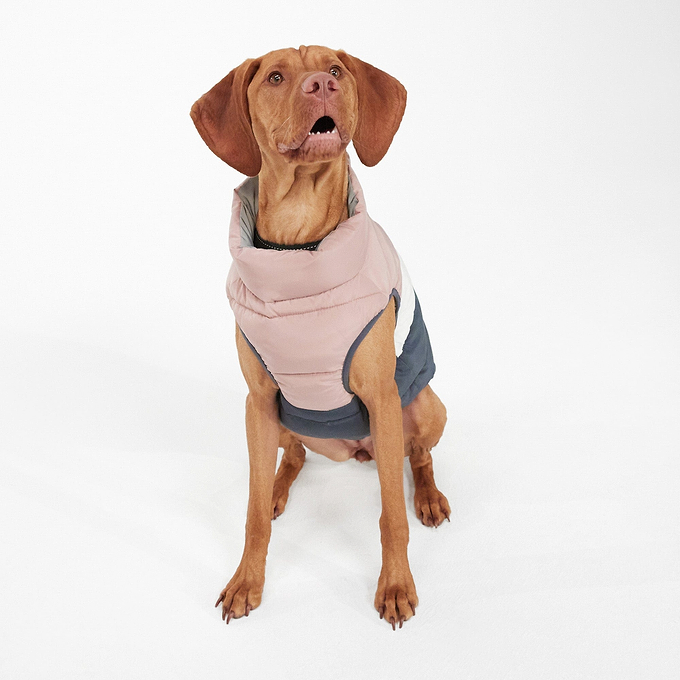 Pooch Padded Dog Coat XL - Faded Pink/Ice Grey/Washed Blue