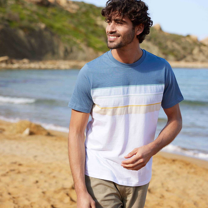 Blaxhall Mens T-Shirt - Blue Dolphin