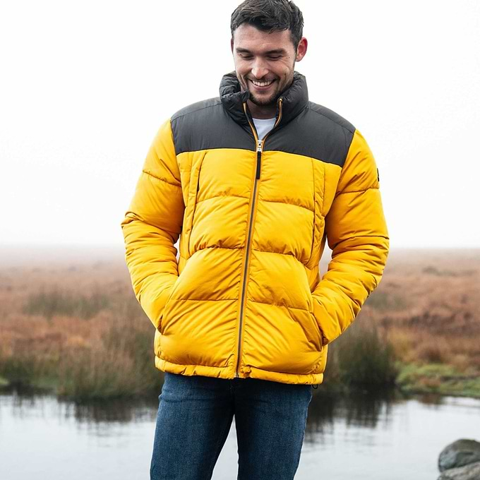 Calverley Mens Insulated Padded Jacket - Golden Yellow/Washed Black