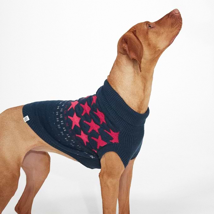 Doodle Knitted Dog Coat - Cerise Star Fairisle M