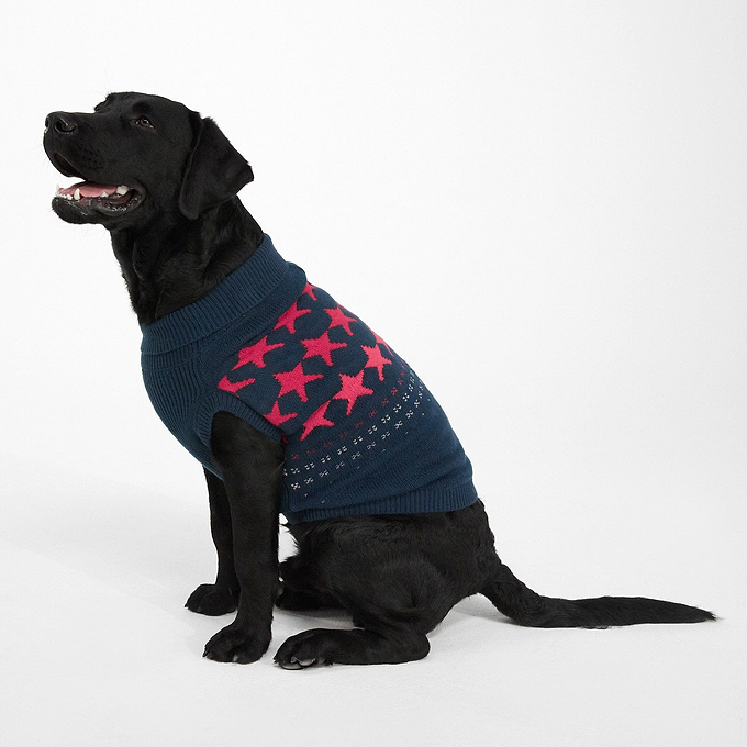 Doodle Knitted Dog Coat - Cerise Star Fairisle L