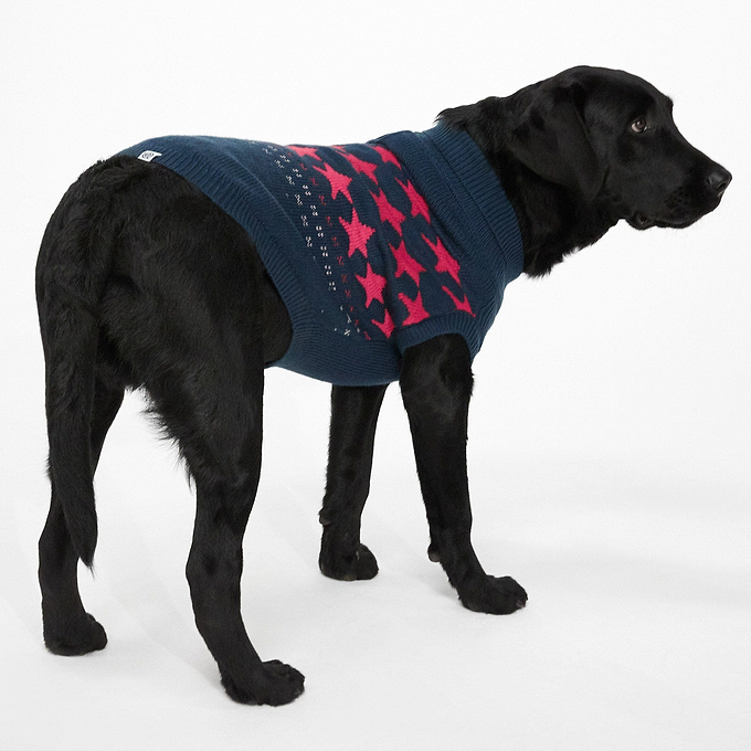 Doodle Knitted Dog Coat - Cerise Star Fairisle L