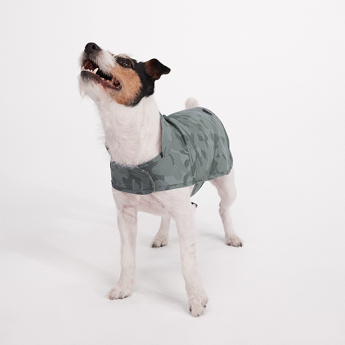 Hound Dog Coat S - Steel Camo AOP