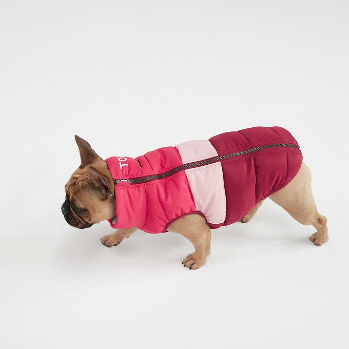 Pooch Padded Dog Coat S - Raspberry Col Block