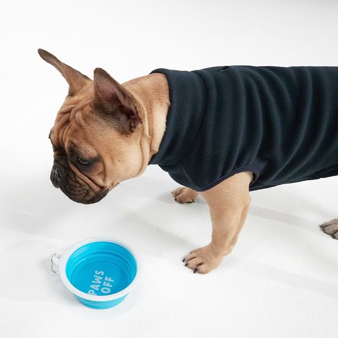 ThIrsty Dog Bowl - Light Turquoise