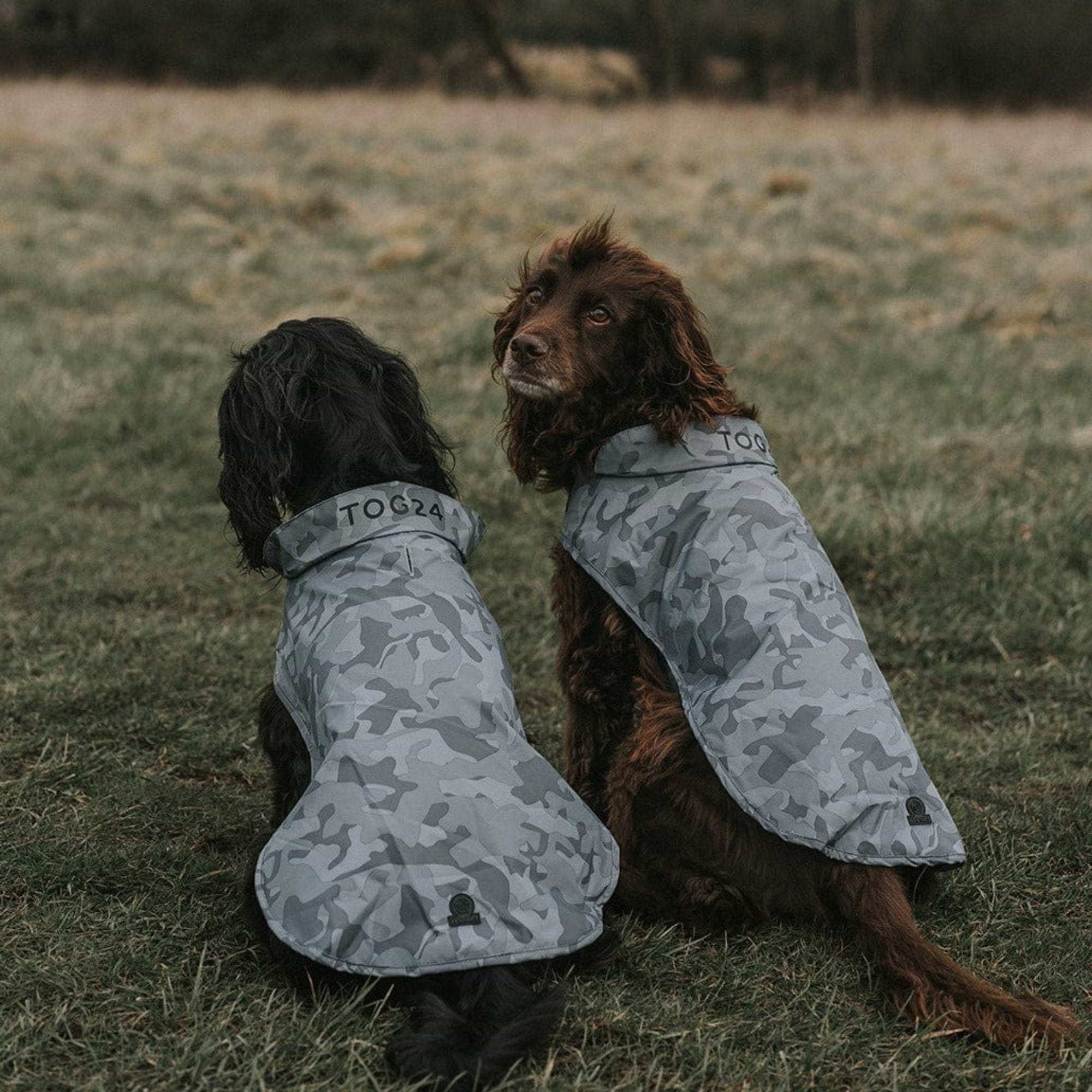 Hound coat top