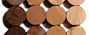 Close-up of Trestique cruelty-free foundation shades in a range of skin tones, displayed in round makeup pans.