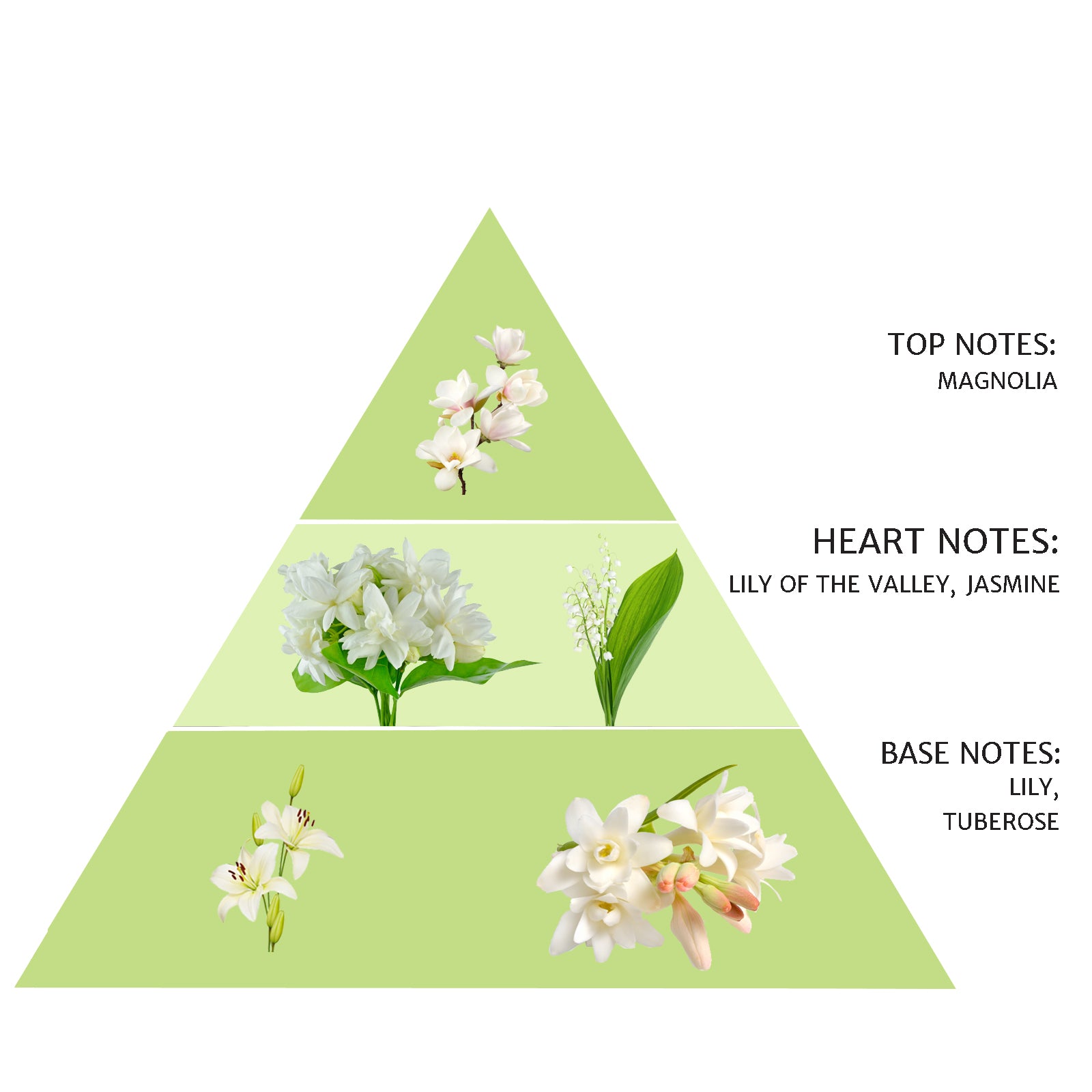 russell and windsor jasmine and white lily Spring White Flower Reed Diffuser 100 ml Clear