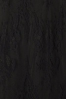 Thumbnail for Black Fine Lace Raven Dress