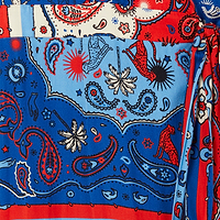 Thumbnail for Blue Bandana Clash Brooklyn Wrap Dress Petite