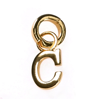 Thumbnail for Gold Plated Initial Charm