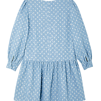 Thumbnail for Denim Minnie Dress