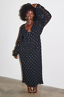 Thumbnail for Black Celia Plisse Dress Petite