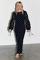 Thumbnail for Black Celia Plisse Dress Petite