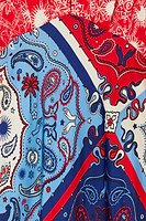 Thumbnail for Red Bandana Clash Emma Dress