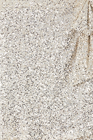 Thumbnail for Close up of Silver Sequin Mini Jaspre Skirt