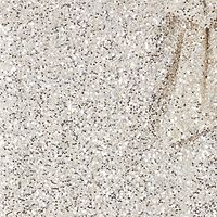 Thumbnail for Close up of Silver Sequin Mini Jaspre Skirt