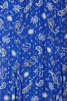 Thumbnail for Blue Running Wild Paisley Bibi Dress Petite