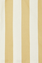 Camel Stripe Cami Top