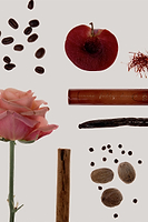 Thumbnail for NFD Eau De Parfum 001