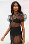 Black Spotted Sheer Top