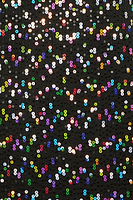 Thumbnail for Sequin Emily Dress