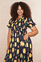 Black Picante Savanna Dress - Curve