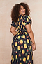 Black Picante Savanna Dress - Curve