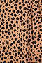 Brown Leopard Zsa Zsa Wrap Dress
