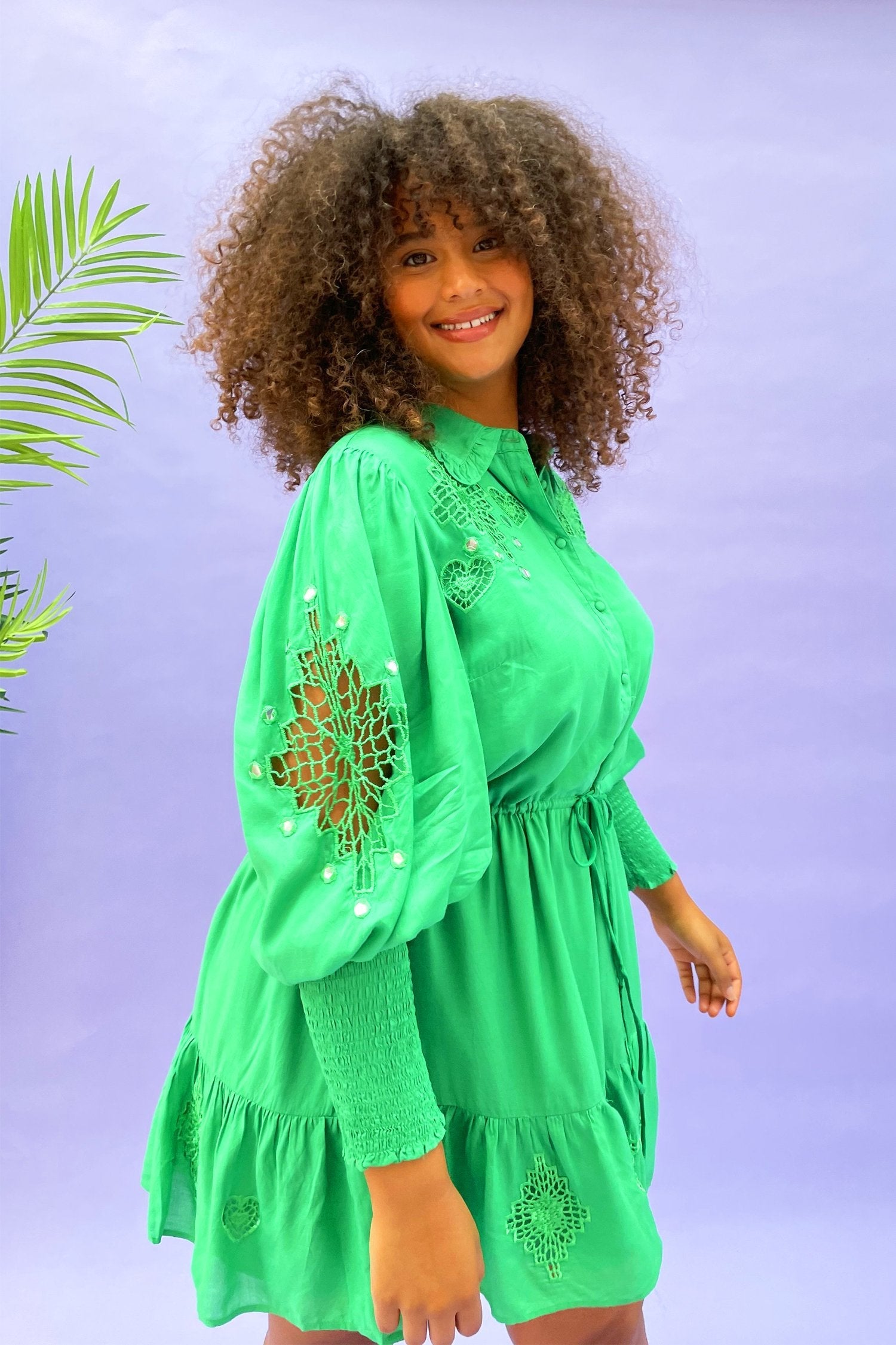 Emerald Broderie Mini Dress - Curve - nfd-demo-dev