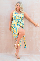 Thumbnail for Fifi Floral Jaspre Skirt - Curve - nfd-demo-dev