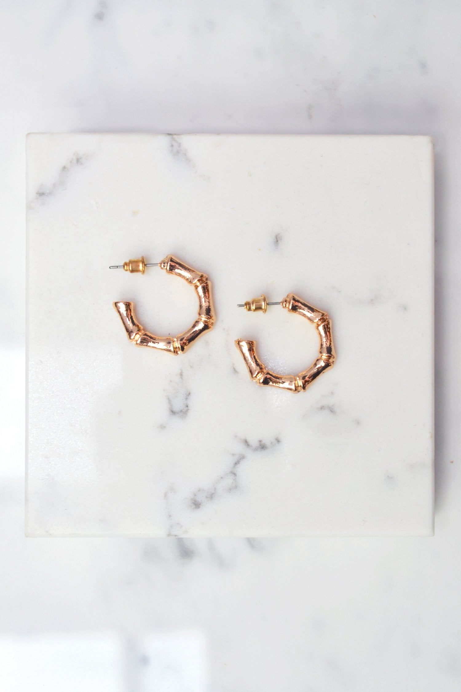 Gold Bamboo Earrings - nfd-demo-dev