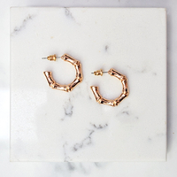 Thumbnail for Gold Bamboo Earrings - nfd-demo-dev