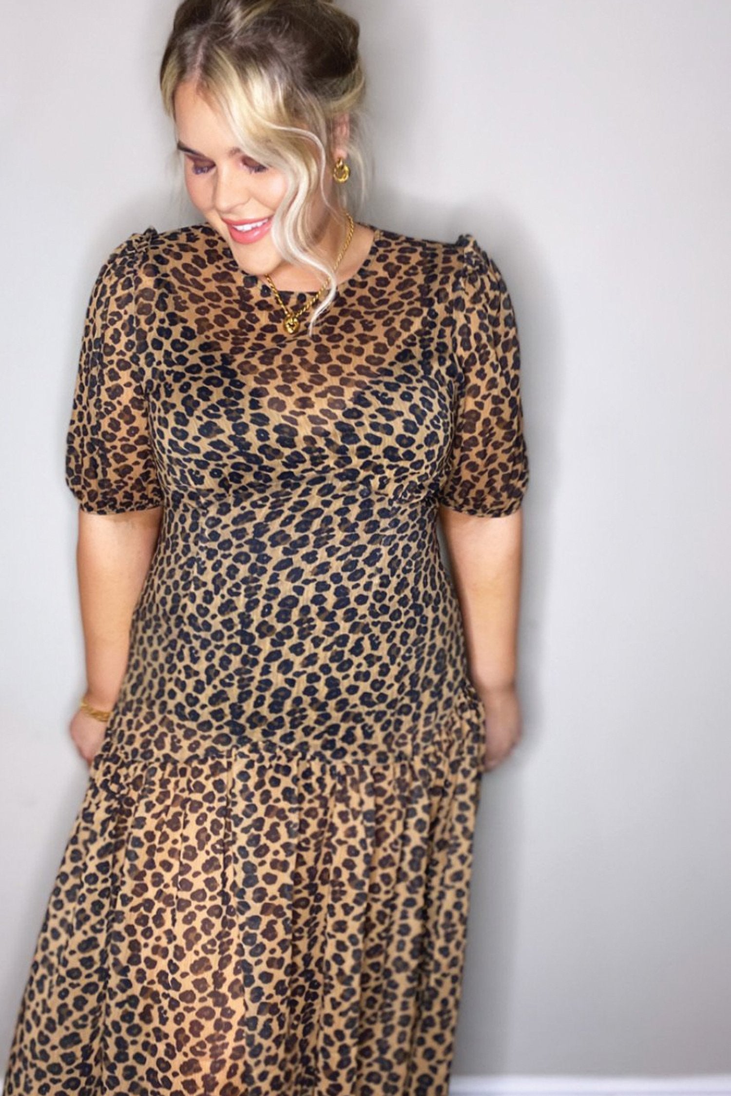 Leopard Lucia Sheer Dress - Curve - nfd-demo-dev