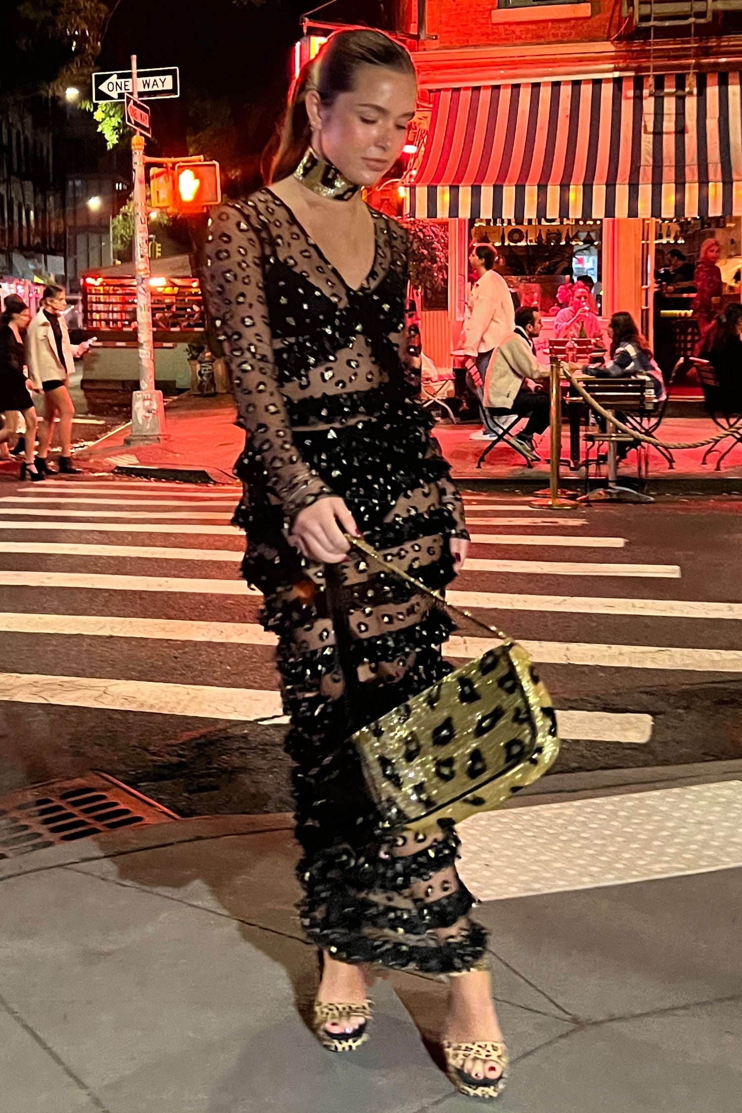 Leopard Mesh Kate Dress - nfd-demo-dev