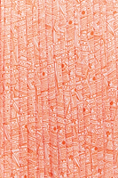Thumbnail for Pink Good News Beatrice Skirt - Curve